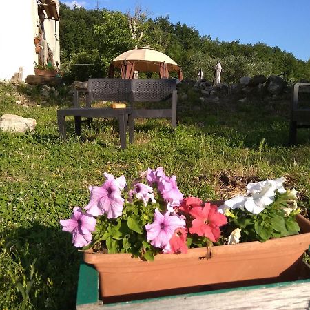 La Masseria Di Antonio E Teresina Colli a Volturno Dış mekan fotoğraf