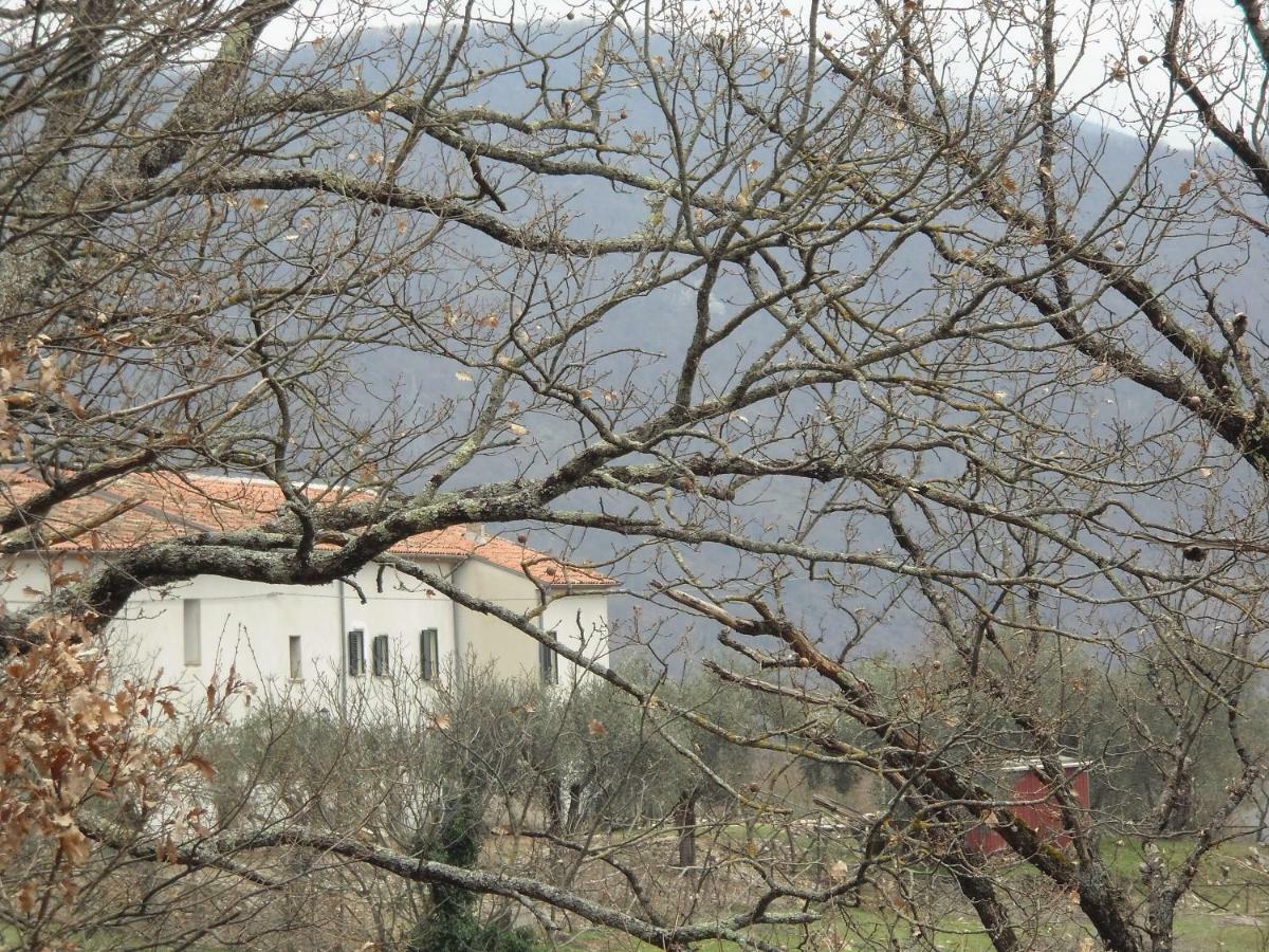 La Masseria Di Antonio E Teresina Colli a Volturno Dış mekan fotoğraf