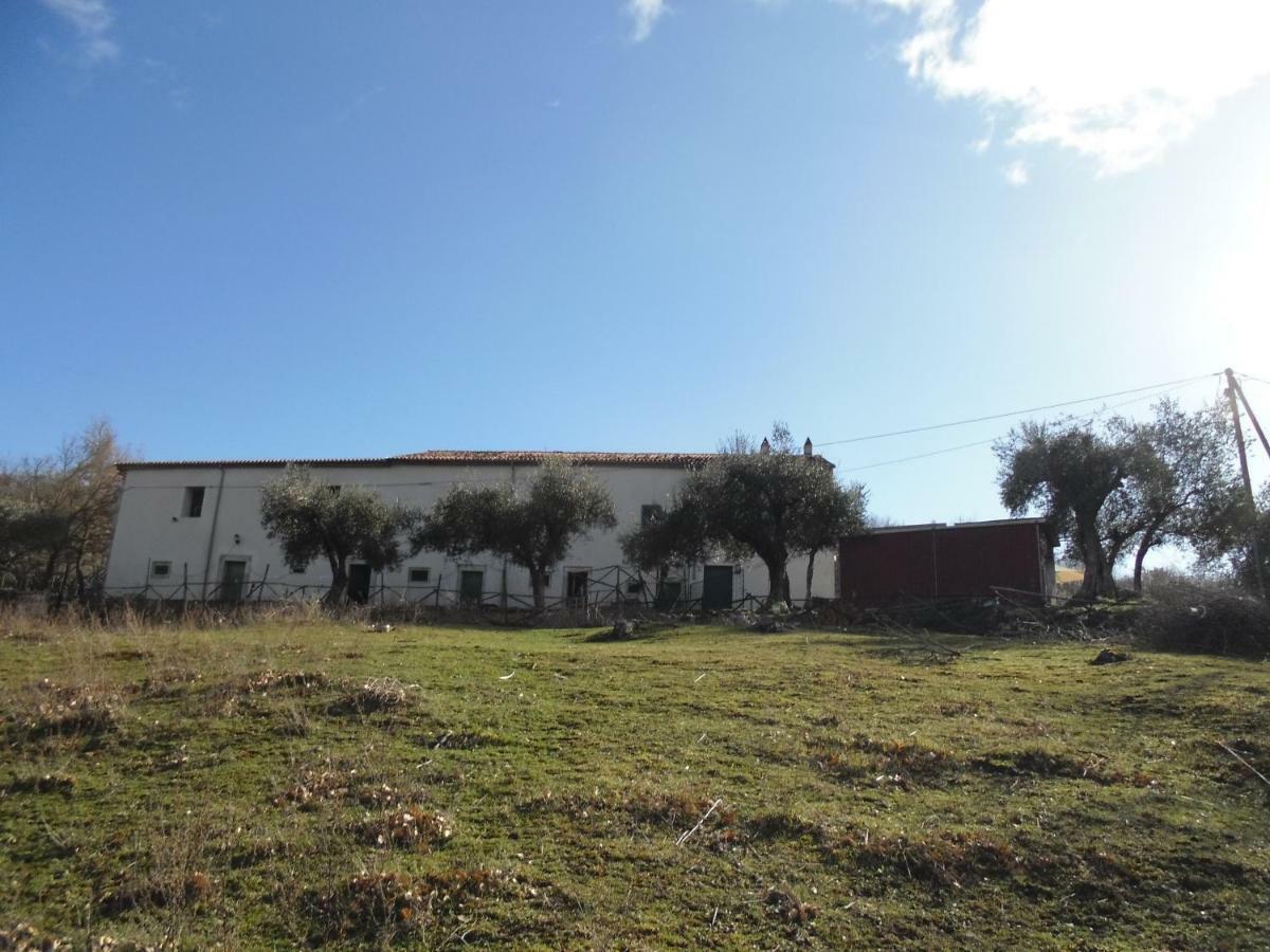 La Masseria Di Antonio E Teresina Colli a Volturno Dış mekan fotoğraf